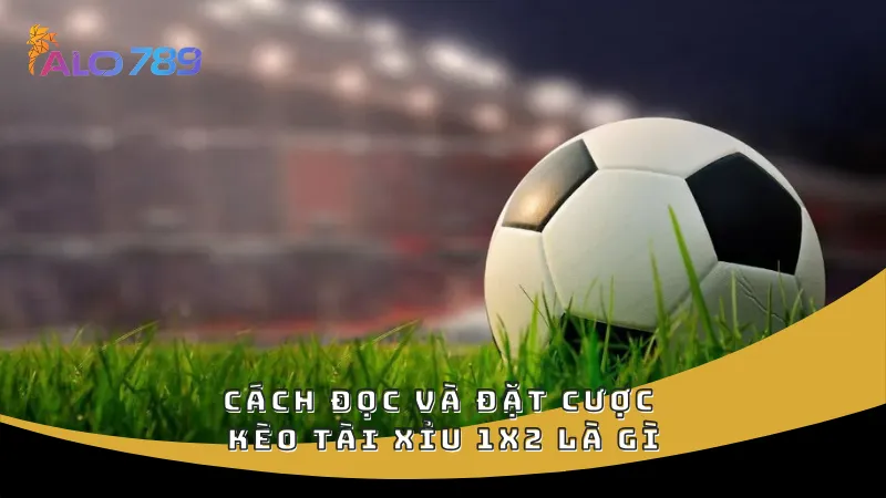 Cách đọc và đặt cược kèo tài xỉu 1x2 là gì