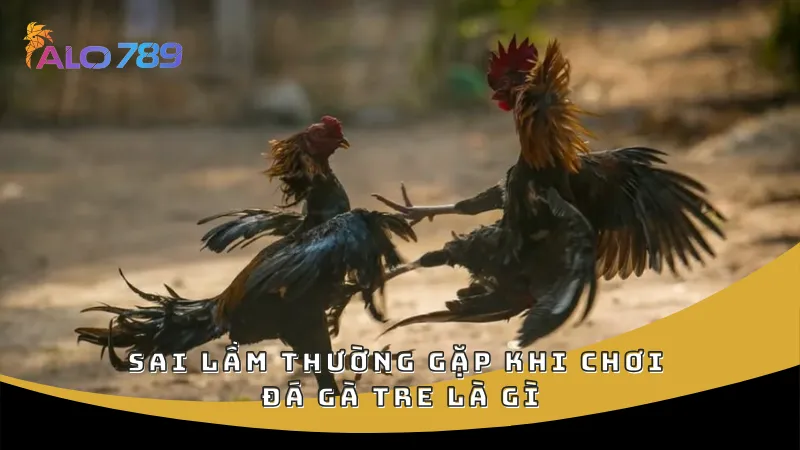 Sai lầm thường gặp khi chơi đá gà tre là gì